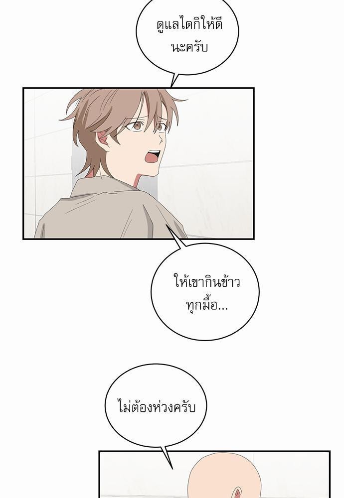 เธ•เธเธซเธฅเธธเธกเธฃเธฑเธ! เธขเธฒเธเธนเธเนเธฒเธเนเธญเธฅเธนเธเธ•เธดเธ” เธ•เธญเธเธ—เธตเน 51 25