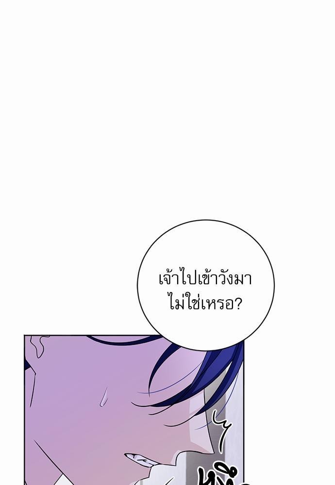 เธเธฑเธเธเธชเธฑเธเธเธฒเนเธงเธกเนเธเธฃเน 6 52